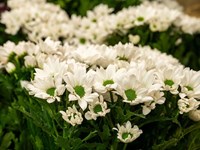 5 ideas para una decoración de bodas que vuelva tu día inolvidable