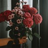 Encargue ya sus ramos y plantas para regalar el Día de la Madre