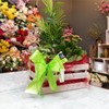Haga sus encargos florales en La Florista del Castillo en Ferrol
