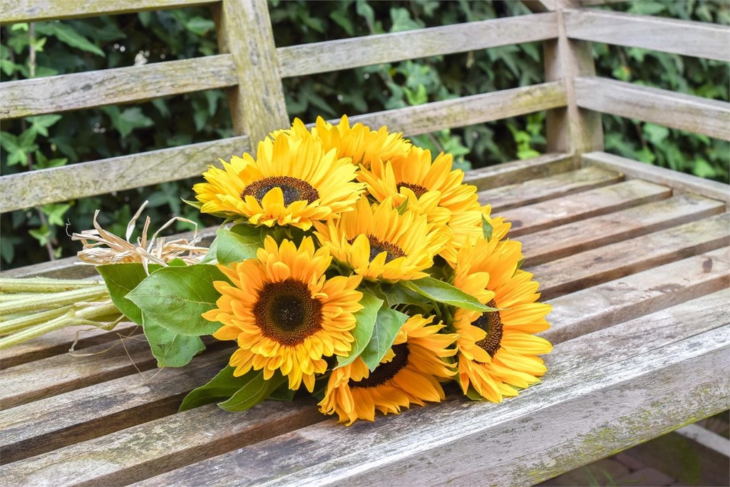 Las mejores flores para regalar en verano