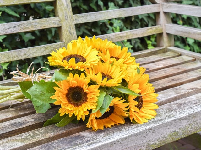 Las mejores flores para regalar en verano