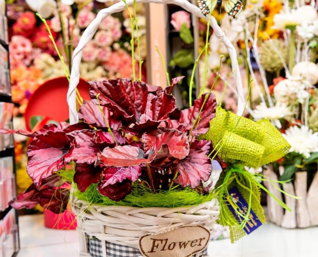 Las ventajas de regalar flores preservadas: duración, belleza y originalidad