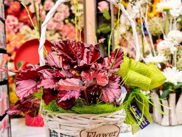 Las ventajas de regalar flores preservadas: duración, belleza y originalidad
