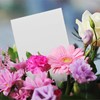 Llega la primavera... ¡regale y llene de flores los hogares!