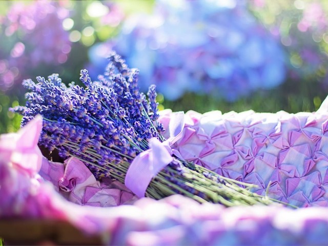 ¿Qué flores nos acompañarán este julio?