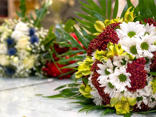 ¿Qué flores regalar en un cumpleaños?