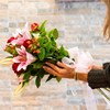 ¿Quiere regalar felicidad? ¡Esta Navidad regale flores!