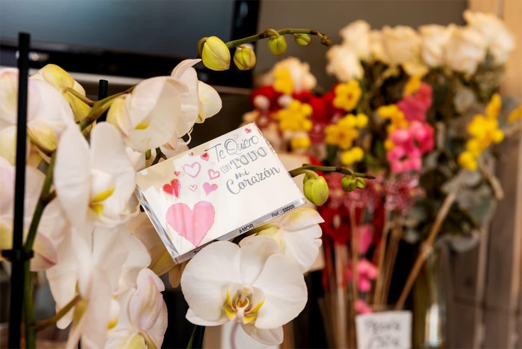 Regala flores y plantas el Día del Padre