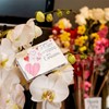 Regala flores y plantas el Día del Padre
