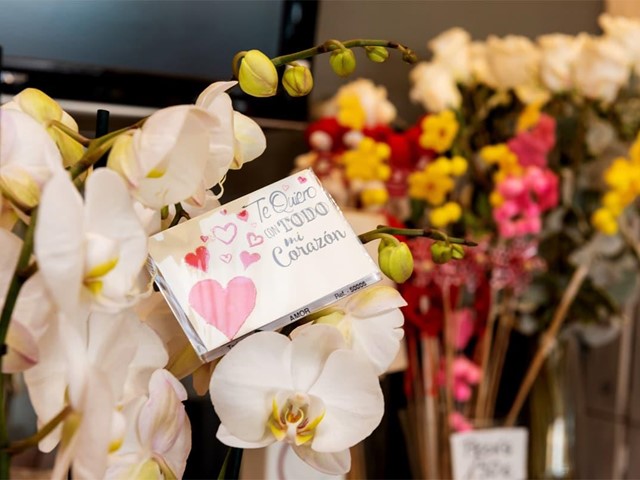 Regala flores y plantas el Día del Padre